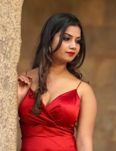 call girl service in Gopalapatnam